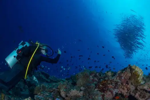Rejs Discover Andaman