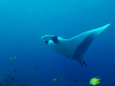 Rejs na Wyspy Południowe Phuket